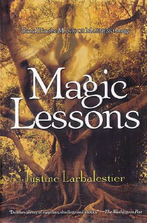 [Magic or Madness 02] • Magic Lessons